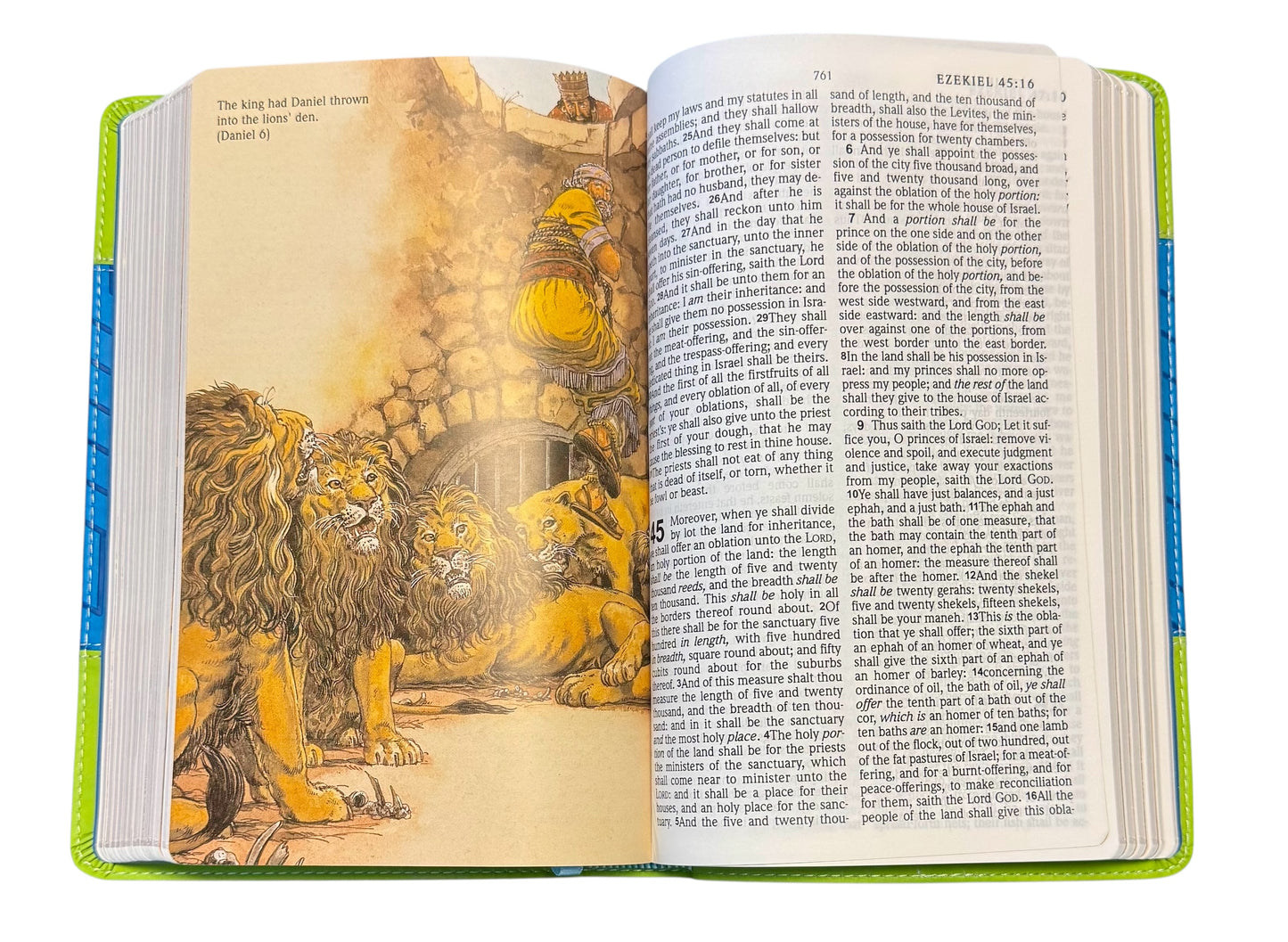 KJV KIDS BIBLE